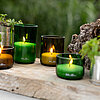 Vier brennende Kerzen des Herstellers Wenzel in grünen und braunen Glasbehältern sind auf einem rustikalen Holztisch platziert. Zwischen den Kerzen befinden sich kleine Pflanztöpfe aus Metall mit grünen Pflanzen. Im Hintergrund sind verschwommene grüne Pf