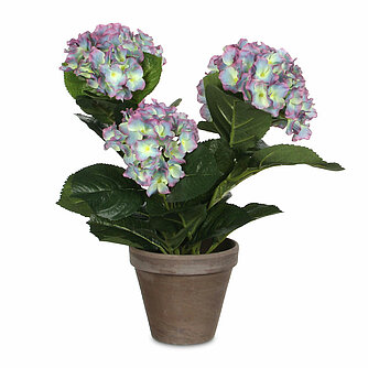MICA Decorations Hortensie im Topf - violett (1 Stück) Artikelvorschau Hortensie im Topf - violett (1 Stück)