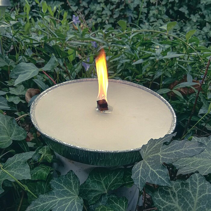 Eine brennende Kerze des Herstellers Wenzel in einer Aluschale, umgeben von üppigem Efeu und grünen Pflanzen im Freien. Die sanfte Flamme schafft eine beruhigende Atmosphäre inmitten der Natur.