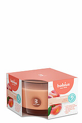 Ein Bolsius True Scents Duftglas mit dem Geruch Anti Tabak - Pfirsich in der Größe 6,3x9cm.