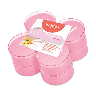 Bolsius True Scents Maxi-Lichte Clear Cup - Magnolia (8er Pack) Artikelvorschau True Scents Maxi-Lichte Clear Cup - Magnolia (8er Pack)