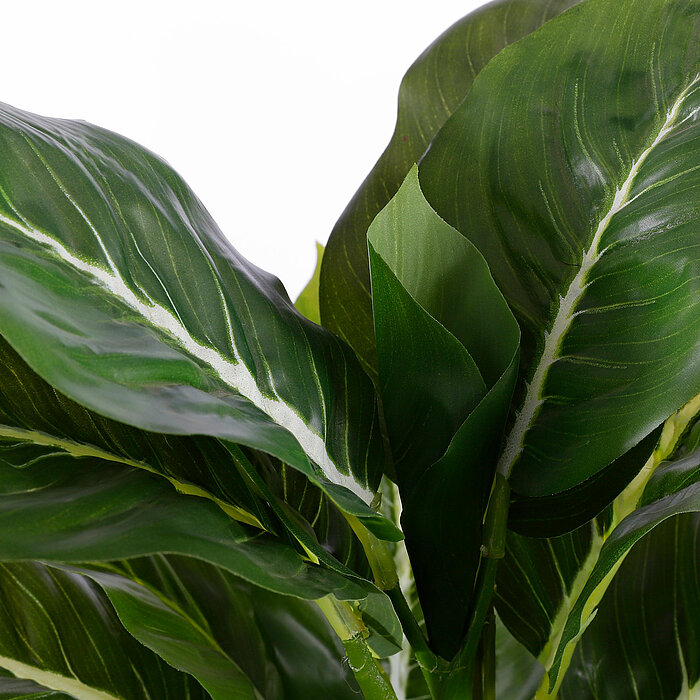 Ein erdfarbener Terrakotta-Topf enthält eine Pflanze mit grünen, stangenartigen Trieben. Im Topf ist dunkle Erde sichtbar. Der Hintergrund ist schlicht und weiß gehalten, wodurch der Fokus auf den Topf und die Pflanze gelenkt wird.