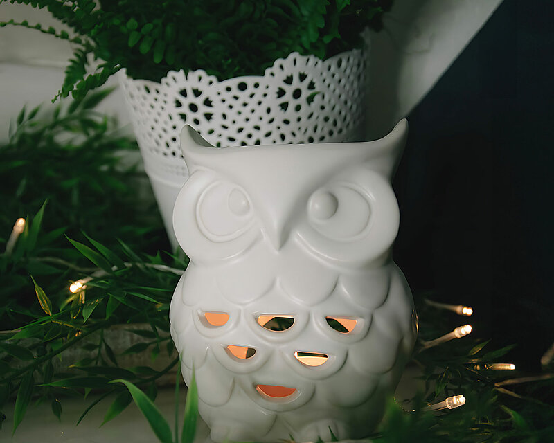 Auf dem Bild ist eine weiße Duftlampe Eule von G. Wurm GmbH in Form einer Eule zu sehen. Dahinter sieht man einen weißen Blumentopf mit Lochmuster mit grünem Farn. Um die Die Duftlampe herum sieht man einige künstliche Blätterzweige und eine LED Lichterkette.