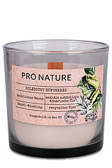 Ein Raps Duftglas mit Holzdocht von Müller Kerzenfabrik in der Größe 10x10cm in der Geruchssorte Birke & Kräuter.