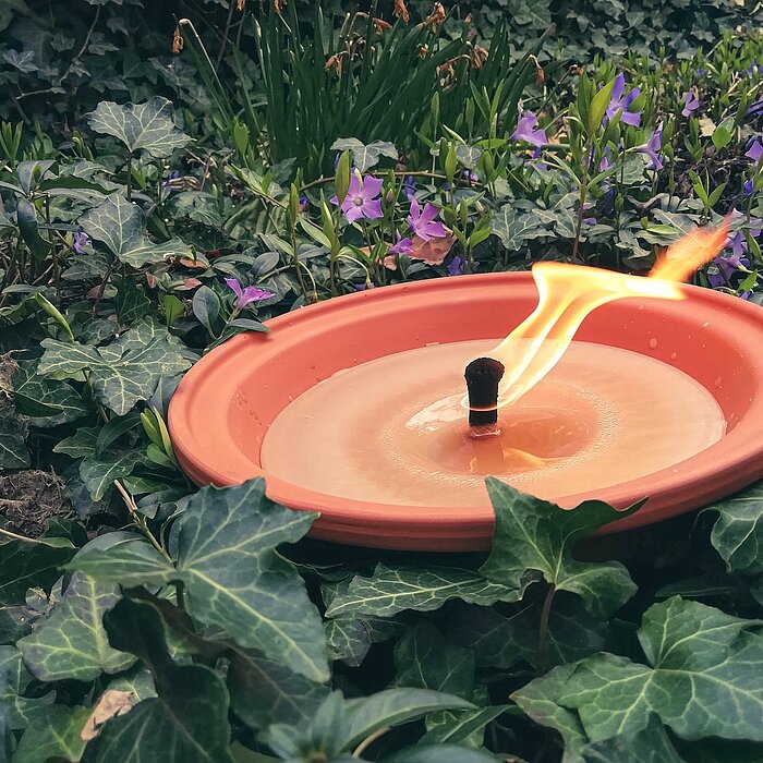 Ein einzelnes brennendes Windlicht von Bolsius in einer flachen, runden Schale, die auf einem Bett aus dichtem Efeu und blühenden violetten Blumen im Freien steht. Das helle Kerzenlicht strahlt in einer warmen Flamme nach oben und schafft eine ruhige und 