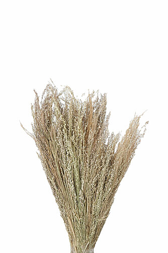 Boltze Dekozweige "Liebesgras" (18 cm) Artikelvorschau Dekozweige "Liebesgras" (18 cm)