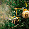 Zwei festliche Kugelornamente hängen an einem üppigen grünen Weihnachtsbaum. Eines ist schwarz mit goldenen Tannenbaum- und Sternmotiven, das andere goldfarben mit einem großen Sonnenmotiv. Beide Kugeln sind mit goldfarbenen Schleifen verziert und strahle