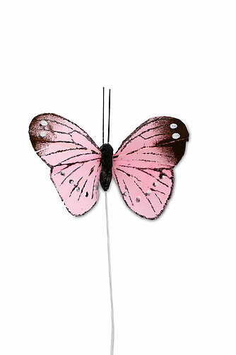 Steingaesser Feder Schmetterling 5 cm (12 Stück) Artikelvorschau Feder Schmetterling 5 cm (12 Stück)
