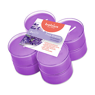 Bolsius True Scents Maxi-Lichte Clear Cup - Lavender (8er Pack) Artikelvorschau True Scents Maxi-Lichte Clear Cup - Lavender (8er Pack)