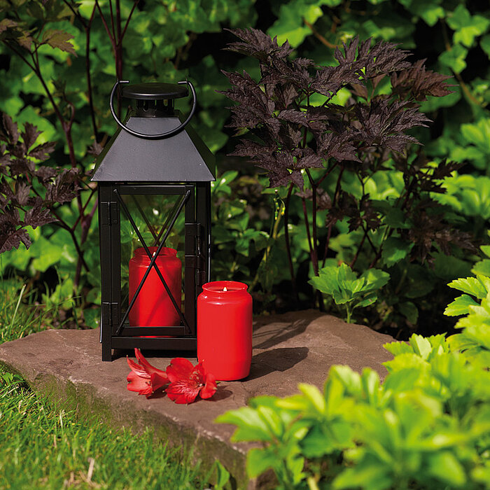 Eine rote Bolsius-Grabkerze steht auf einer flachen Steinplatte im Grünen. Neben der Kerze befindet sich eine schwarze Laterne, in der eine weitere rote Bolsius-Grabkerze brennt. Die Umgebung ist von üppigen grünen Pflanzen umgeben, und auf der Steinplatt