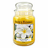 Eine Apothekerglas-Kerze von Prices Candles in der Größe 19,5x10cm mit dem Duft Frangipani und einem Gewicht von 630g.