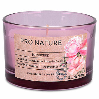 Müller Kerzenfabrik Raps-Duftglas 58/86 mm -Wildrosen (1 Stück) Artikelvorschau Raps-Duftglas 58/86 mm -Wildrosen (1 Stück)
