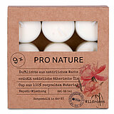 24 Raps Duft-Teelichter mit Wildrosen-Duft von Müller Kerzenfabrik in der Größe 3,8x3,8cm.