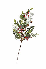 Ein dekorativer Zweig mit verschiedenen grünen Blättern, roten Beeren und kleinen braunen Zapfen. Die unterschiedlichen Blätter verleihen dem Zweig eine natürliche und abwechslungsreiche Textur. Der Zweig ist schlank und detailliert gestaltet, was ihm ein