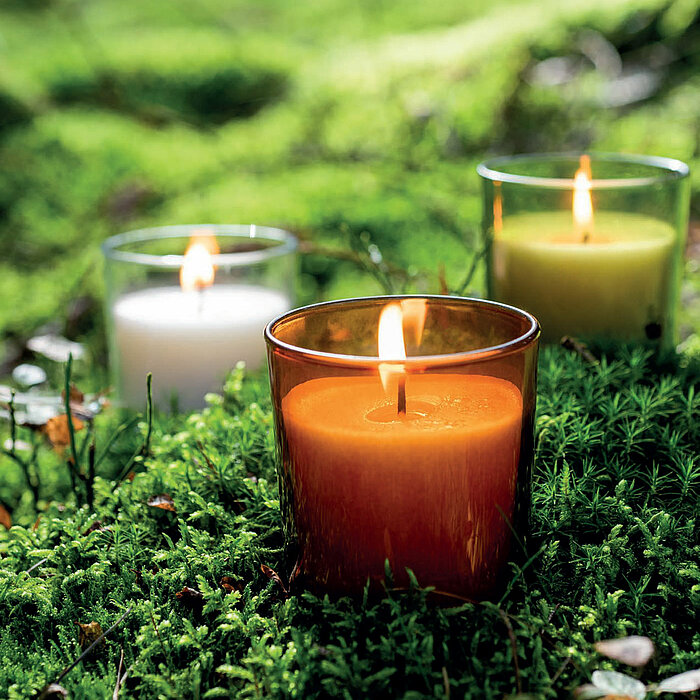 Drei brennende Kerzen des Herstellers Wenzel in transparenten Gläsern stehen auf einem Moosbett im Freien. Die Kerzen sind in den Farben Orange, Weiß und Grün gehalten und verleihen mit ihrem sanften Licht der natürlichen Umgebung eine warme und einladend