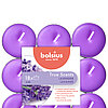 38 Duft-Teelichter von Bolsius mit dem Duft Lavendel.