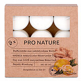 24 Raps Duft-Teelichter 6h von Müller Kerzenfabrik in der Größe 3,8x3,8cm in der Geruchssorte Ingwer & Zitronenblüte.