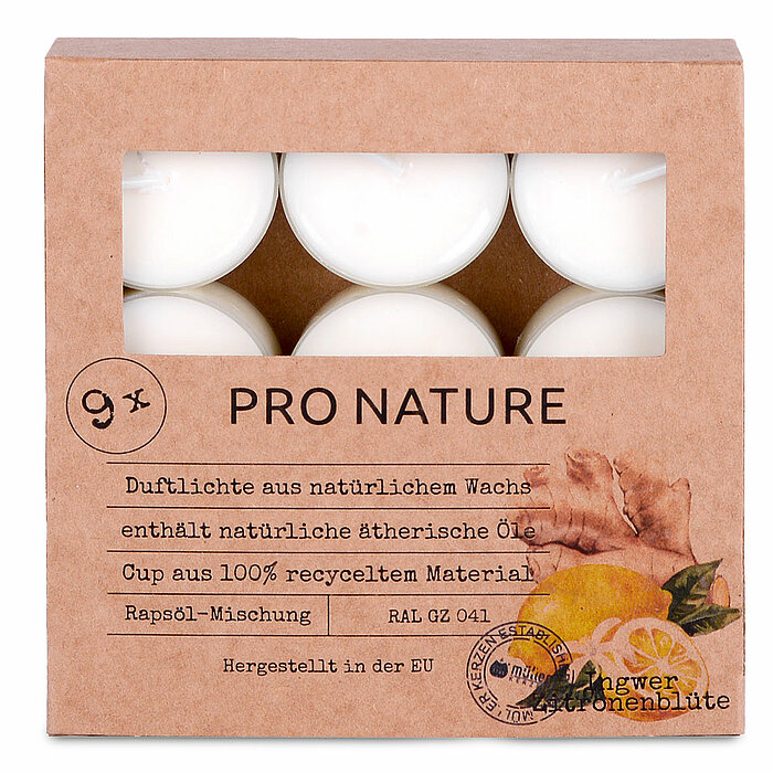 24 Raps Duft-Teelichter 6h von Müller Kerzenfabrik in der Größe 3,8x3,8cm in der Geruchssorte Ingwer & Zitronenblüte.