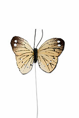 12 Feder-Schmetterlinge von Steingaesser in der Größe 5cm in der Farbe gelb.