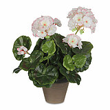 Eine Geranie im Topf von Mica Decorations in der Größe 34x20cm in der Farbe weiß.