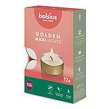 12 Maxi-Teelichte von Bolsius in der Größe 2,5x5,7cm mit einer Brenndauer von 10 Stunden in der Farbe weiß.