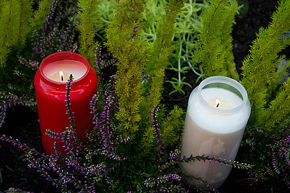Zwei flackernde Grabkerzen, eine weiß und eine rot, stehen zwischen üppigem, grünem und lilafarbenen Farn. Das sanfte Tageslicht taucht die Szene in eine warme, beruhigende Atmosphäre.