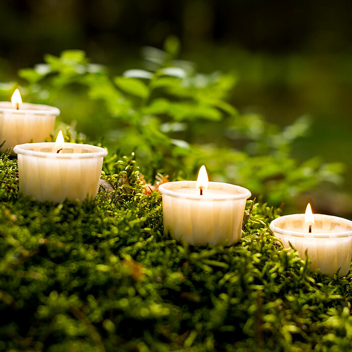 Vier brennende Teelichter stehen in weißen Haltern auf einer mit Moos bewachsenen Oberfläche. Die Umgebung ist von Grünpflanzen durchzogen und vermittelt eine ruhige, naturverbundene Stimmung. Im Hintergrund verschwimmen die Pflanzen im Bokeh-Effekt, was 