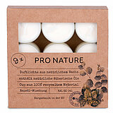 24 Raps Duft-Teelichter von Müller Kerzenfabrik in der Größe 3,8x3,8cm in der Geruchssorte Eukalyptus & Minze.