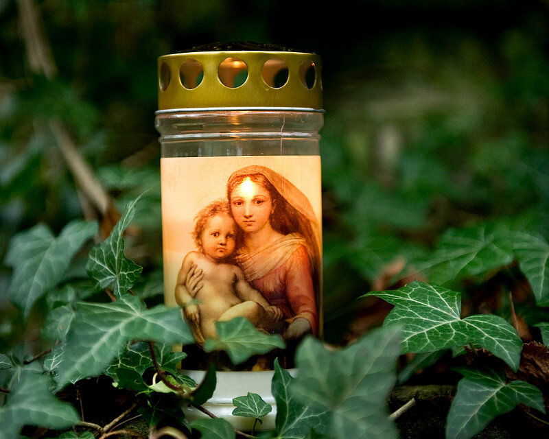 In der Mitte des Bildes befindet sich eine brennende Grabkerze mit Deckel und Madonna Motiv von Bolsius. Um die Grabkerze herum befindet sich grüner saftiger Efeu.