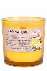 Ein Raps Duftglas mit Holzdocht von Müller Kerzenfabrik in der Größe 10x10cm mit dem Duft Ingwer & Zitronenblüte.