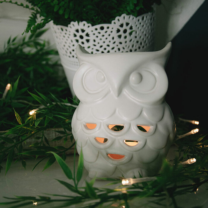 Eine weiße Eulen-Laterne mit durchbrochenen Mustern, die von innen beleuchtet ist, steht auf einem weißen Tisch. Um die Eulen-Laterne herum sind grüne Blätter und eine Lichterkette drapiert. Im Hintergrund steht ein weißer Blumentopf mit Farnen. Das Bild 