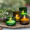 Vier brennende MaBe-Kerzen in unterschiedlichen Größen und Farben (zwei grüne und zwei braune) stehen auf einem geflochtenen Untersetzer. Im Hintergrund sind unscharfe grüne Blätter und Zweige zu sehen, die dem Bild eine natürliche und ruhige Stimmung ver