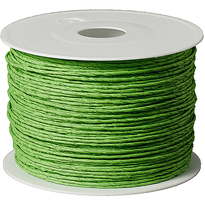 Ein Papierdraht Crazy Paper von KragoArt mit der Breite 2mm und einer Länge von 100m in der Farbe Apfelgrün.
