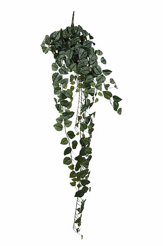 MICA Decorations Hängepflanze Scindapsus 129cm Artikelvorschau Hängepflanze Scindapsus 129cm