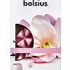 Eine 6er Packung True Scents Wax Melts von Bolsius mit dem Geruch Magnolia.