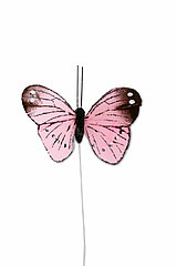 12 Feder Schmetterlinge von Steingaesser in der Größe 5cm in der Farbe rosa.