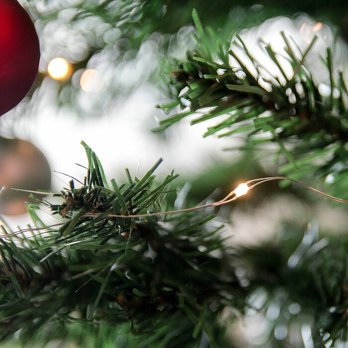 Ein grüner Zweig eines Weihnachtsbaums mit Nadeln, teilweise beleuchtet von kleinen, warmweißen Lichtern. Im Hintergrund ist ein roter Weihnachtsbaum-Ornament erkennbar, das weich beleuchtet ist. Die Stimmung ist festlich und gemütlich.