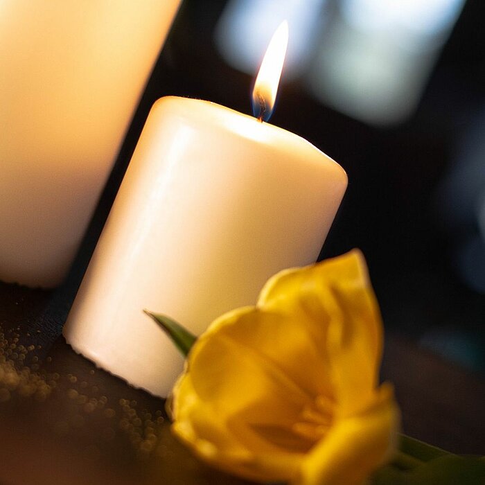 Vier brennende DecoLite Stumpenkerzen in den Farben Weiß und Rot stehen auf einem dunklen Tisch. Im Hintergrund steht eine Vase mit strahlend gelben Tulpen.