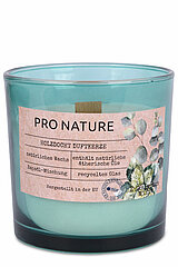 Ein Raps Duftglas mit Holzdocht von Müller Kerzenfabrik in der Größe 10x10cm mit dem Duft Eukalyptus & Minze.