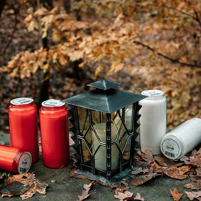Sechs nicht brennende DecoLite Kerzen in den Farben Rot, Weiß und Grau sind neben einer metallischen Laterne auf einem steinernen Geländer arrangiert. Um die Kerzen und die Laterne herum liegen Herbstblätter, und im Hintergrund ist ein herbstlicher Wald m