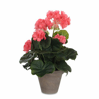 MICA Decorations Geranie im Topf - lachs (1 Stück) Artikelvorschau Geranie im Topf - lachs (1 Stück)