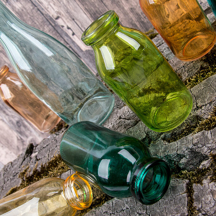 Neun Glasvasen unterschiedlicher Formen und Farben vom Hersteller "Sandra Rich" stehen auf einem bemoosten Baumstamm vor einem rustikalen Holzhintergrund. Die Farben reichen von klar über Bernstein bis Grün und Blau. Einige Vasen stehen aufrecht, während 