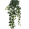 Eine Hängepflanze Scindapsus von Mica Decorations in der Größe 86cm in der Farbe grün.