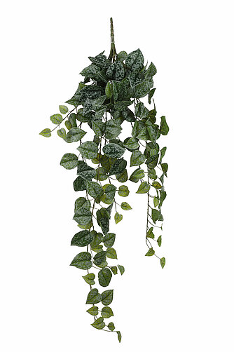 MICA Decorations Hängepflanze Scindapsus 86cm Artikelvorschau Hängepflanze Scindapsus 86cm