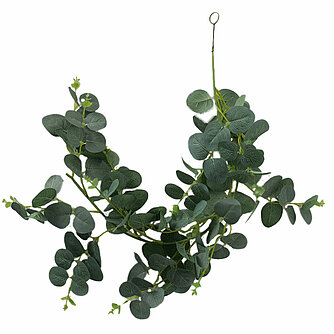 Boltze Pflanzengirlande Eukalyptus 75 cm (1 Stück) Artikelvorschau Pflanzengirlande Eukalyptus 75 cm (1 Stück)