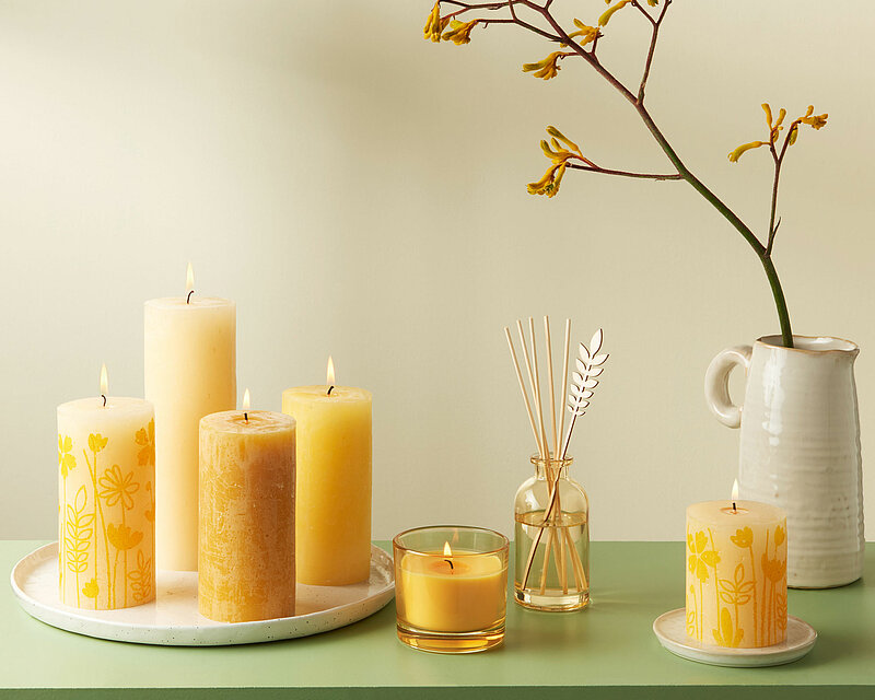 Das Bild strahlt eine erfrischende Frühlingsruhe aus. Auf einem lebendig grünen Tisch ruht ein strahlender weißer Kerzenteller, dessen sanft flackernde, gelbe Rustik-Stumpenkerzen von Bolsius eine beruhigende Atmosphäre schaffen. Neben den Kerzen steht ein True Joy Spring Blossom Duftglas sowie ein True Joy Spring Blossom Raumduft, die mit ihrem Duft die Sinne beleben. Eine majestätische Keramikvase mit einem Zweig voller gelber Blüten verleiht dem Arrangement eine zusätzliche Lebendigkeit.