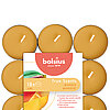 38 Duft-Teelichter von Bolsius mit dem Duft Mango.