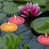 In einem Teich schwimmen drei brennende Teelichter von Wenzel in den Farben Gelb und Rosa auf runden Schwimmhilfen zwischen großen grünen Seerosenblättern. Eine rosa Seerose blüht im Hintergrund, während Wassertropfen die Blätter schmücken. Die ruhige und