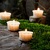 Sieben brennende Teelichter in weißen Haltern stehen auf einem rustikalen Holzuntergrund, der von grünem Moos überwuchert ist. Die Kerzen verteilen ein warmes, behagliches Licht, das eine gemütliche und beruhigende Atmosphäre schafft. Im Hintergrund sind 