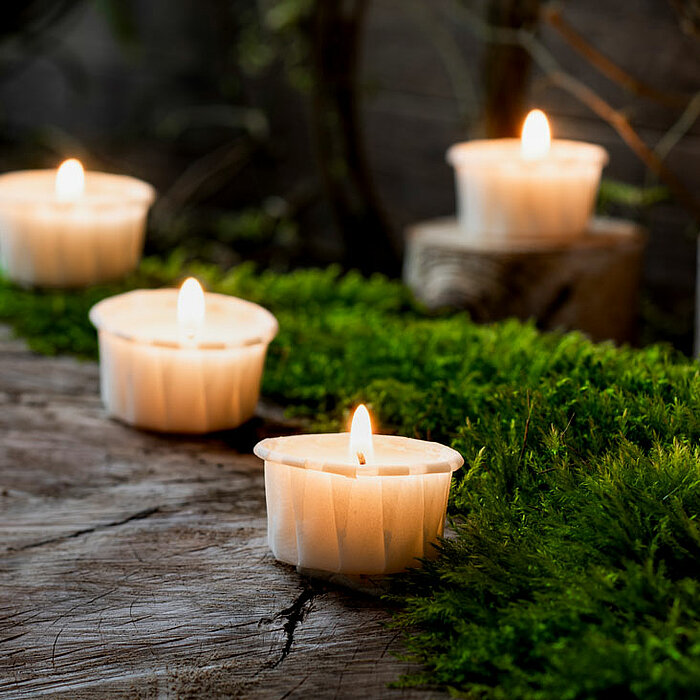 Sieben brennende Teelichter in weißen Haltern stehen auf einem rustikalen Holzuntergrund, der von grünem Moos überwuchert ist. Die Kerzen verteilen ein warmes, behagliches Licht, das eine gemütliche und beruhigende Atmosphäre schafft. Im Hintergrund sind 